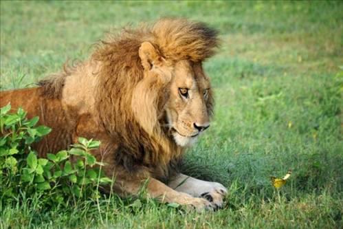 Dnya'dan ilgin kareler