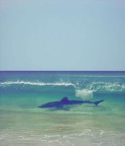 Dnya'dan ilgin kareler