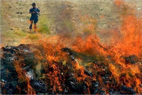 Dnya'dan ilgin kareler