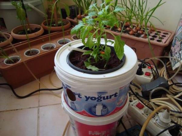 <p><b>Her Derde Deva Yourt Kab </b></p>  Bizim milletimizin, daha dorusu annelerimizin en byk zelliklerinden biri de boalm yourt kaplarn eitli amalar iin kullanmaktr. Bu gzide yourt kabmz saks olur. Fakat asla atlmaz, boa harcanmaz.