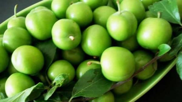 Ba dokular glendirir.