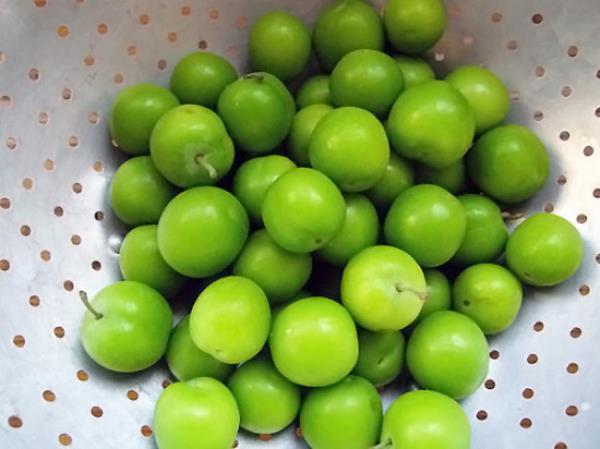 Akcier kanseri, astm ve souk algnl gibi sorunlarn giderilmesine yardmc olur.