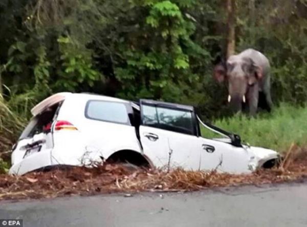 <p><b>FL OTOMOBLE ARPTI</b></p>  Bangkok'ta aklalmaz bir olay yaand...