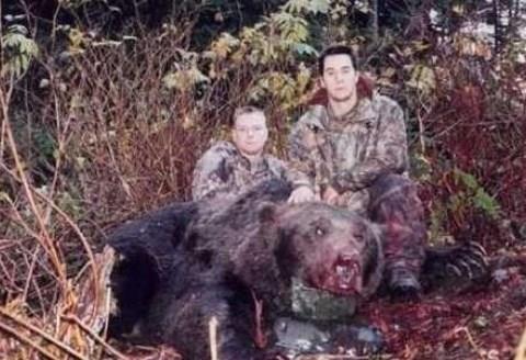 2001 ylnn Ekim aynda Alaska'da ekilen bu fotorafta, Amerikal pilot Ted Winnen tarafndan vurulan boz ay grlyor. Winnen aynn kendisine saldrdn ve kendini korumak iin vurduunu sylyor. Bu boz ay 3.2 m uzunluunda ve yaklak 500 kg arlndadr.