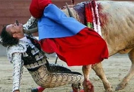 spanya'nn nl matadorlarndan Julio Aparicio, 2010 ylnda Saint Isidro Festival'inde gsterisini yaparken boann saldrsna urad. Boann boynuzu Aparicio'nun enesinde girdi, azndan kt. Bu olaydan sonra 2 kez ameliyat olan Aparicio hayata dnd.