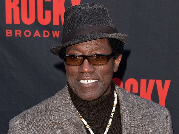 Kiisel sorunlar nedeniyle bir sre oyunculuktan uzak kalan aktr, 2009 ylnda Brooklyn's Finest (Brooklyn'in Kral) adl su filmiyle sinemaya geri dnd. O da The Expendables (Cehennem Melekleri) serisinin nc filminde rol alan 90'l yllarn aksiyon filmleri yldzlarndan bir dieri.