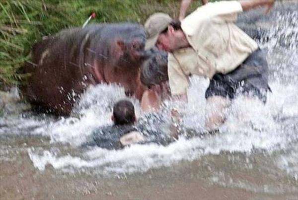 Gney Afrika'daki nl Kruger Milli Park'nda yaanan bu korkun anlar kare kare grntlendi.