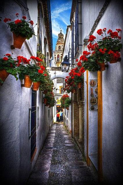 11. iek kokulu sokaklara sahip Cordoba'dan bir sokak