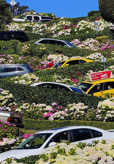 15. Lombard Soka, San Francisco