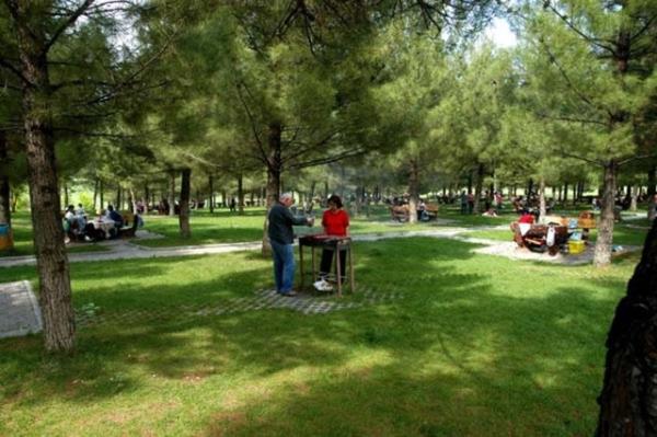 Bu dnemde ate, halsizlik, ba ars, eklem ve kas ars grlebiliyor. Bu dnemde uygun antibiyotik tedavi verilmezse Evre 2 (erken yaygn enfeksiyon) dnemi geliiyor.