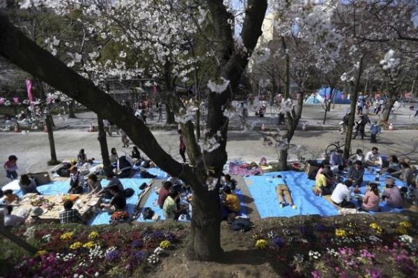 Keneler nedeniyle piknik alanlarnn ilalanmas durumunda doadaki dier yararl bceklerin de yok edileceini belirten Prof. Dr. Kocagz "Keneyi yok edeceiz derken doay da bozuyoruz.