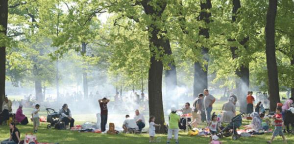 Kenelerin neden olduu bir baka hastalk da Lyme hastal. Lyme, kene srna bal mikrobun neden olduu, vcudun birden fazla sistemini tutan bir hastalk. Kene srlmasndan sonra antibiyotik ile ilk dnemde tedavi edilmezse sregenleiyor.