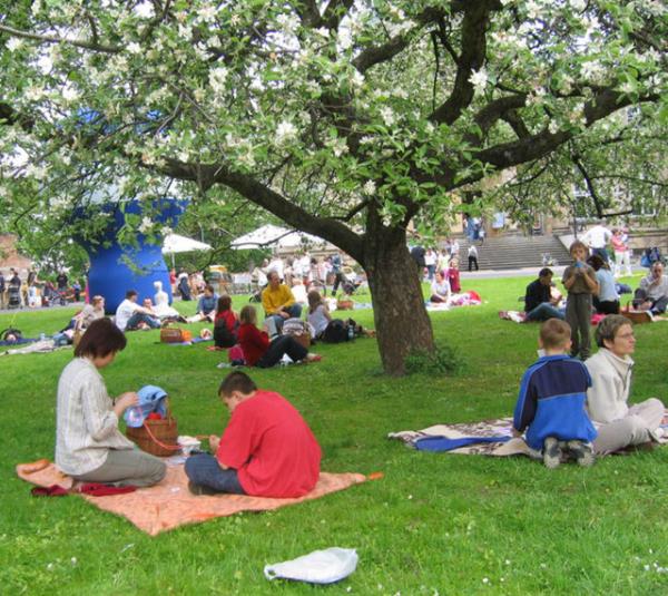 Bu dnemde vcudun dier blgelerine yaylmaya balayarak sinir sistemi, kalp ve iskelet sistemine ait bulgular oluturuyor.