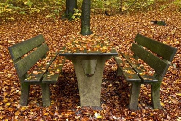 Prof. Dr. Kocagz, piknik alanlarnn ilalanmasnn ise faydas olmayacan belirtiyor.