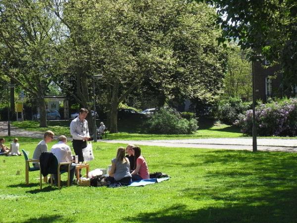 stelik srdnda, anestezik madde salglad iin hi mi hi hissedilmiyor. Ta ki ounlukla da duta karlancaya dek!