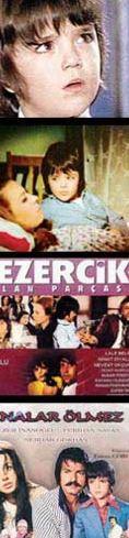 zellikle Kbrs Sava'nn anlatld 'Sezercik Aslan Paras' filmiyle gnlleri fethetti. Ama 'Sezercik' byynce sinemay brakt ve babas Berker nanolu'ndan kalan film irketinin bana geti.