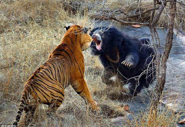 Elinin tersiyle bi koydu mu lrsnz.