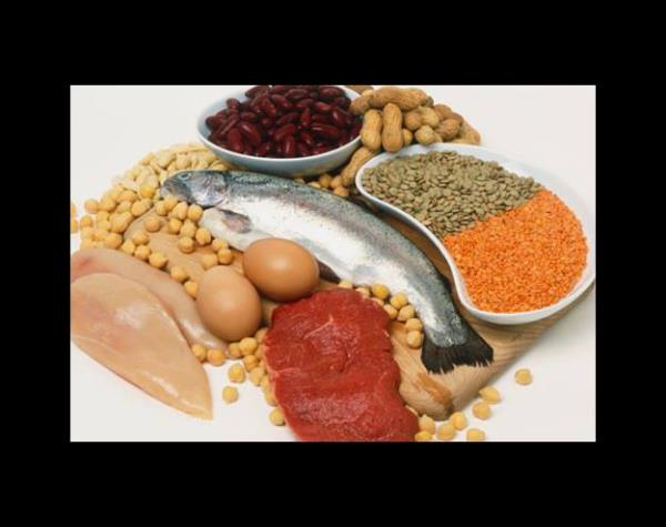 <p><b>6-12 ya beslenmesi:</b></p>  Protein; Kas kitlesinin hzla artt bu dnemde protein alm nem kazanyor. Et,st, yumurta, kurubaklagiller gibi protein kaynaklar tketilmeli.