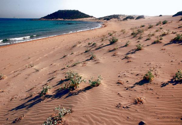 Smestr tatilinde gne, deniz, doa ile bulumak ve sakin bir yere kamak m istiyorsunuz? Akdeniz'in tm ayrntlarn ihtiva eden muhteem kumsallaryla Kbrs, herkesin gerekletirebilecei bir d.