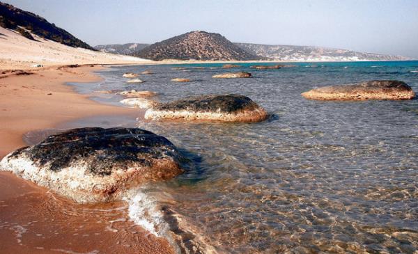 Smestr tatilinde gne, deniz, doa ile bulumak ve sakin bir yere kamak m istiyorsunuz? Akdeniz'in tm ayrntlarn ihtiva eden muhteem kumsallaryla Kbrs, herkesin gerekletirebilecei bir d.