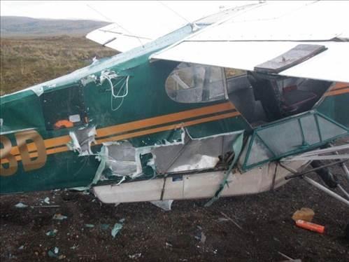 Ay burnuna gelen gzel kokulu yiyecee ulaabilmek iin ua parampara etmiti.