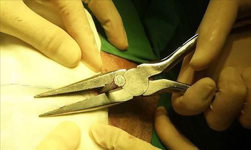 Yaplan aratrmada inli adamn evini tamir ederken ivi tabancas ile yaraland ortaya kt...