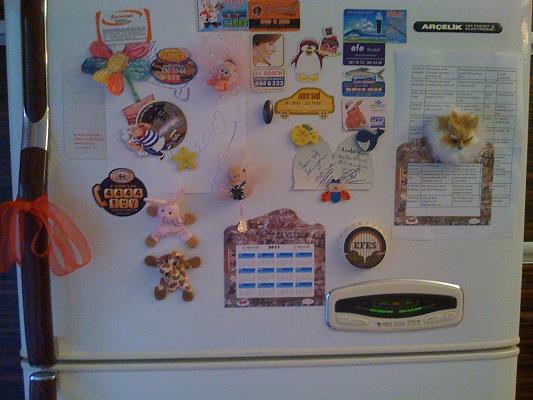 <p><b>Tavanl, kedili buzdolab magnetleri</b></p>  Ayrca muhitteki tm esnafn telefon numaralarn tayan dev bir rehber olarak buzdolab