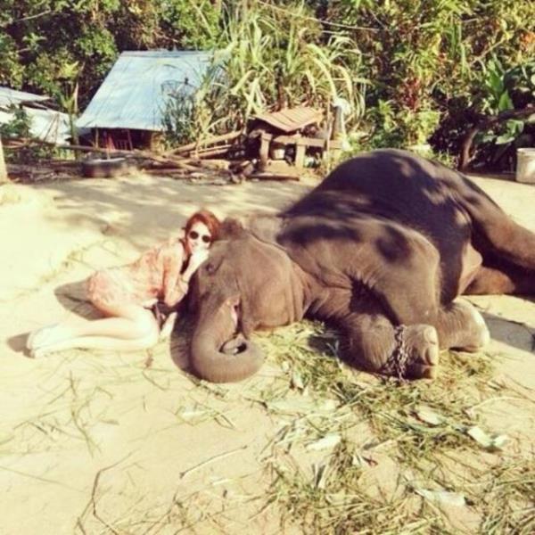 RUKEN DEMRER   Gnaydn