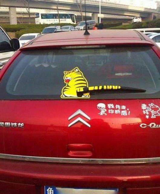 Kedi kuyruu eklinde silecek