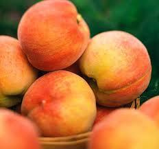 eftali: Bol miktarda A ve C vitaminlerini ierir. Su, madensel tuzlar ve eker asndan son derece zengindir. Kabzl giderir. Hazm kolaylatrr. drar yollarn temizler. Safra kesesi ve bbrekler iin de son derece faydaldr.