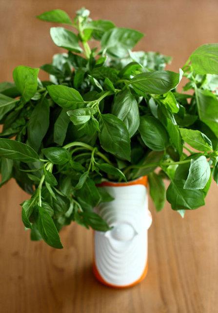 En iyisi onu darda, tpk kesilmi iekler gibi bir bardak suyun iinde saklamak. Eer fesleeni uzun sre saklamak istiyorsanz Martha Stewart onlar kurutup dondurmanz tavsiye ediyor.