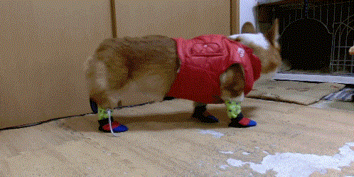 Yeni giydiin orapla slak yere bas