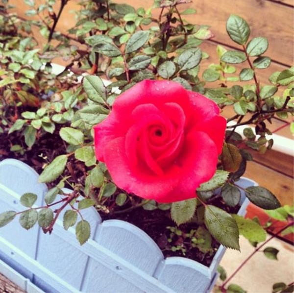 DOA RUTKAY Ve tanmadm bilmediim daha nice nice caanm anneler..kaybedenler,ac ekenler,yrei eksik olan ve bir daha asla tamamlanmayacak anneler,gzyalar asla dinmeyecek olanlar...Kalbinizden ve ellerinizden perim...Anneler gnnz kutlu olsun.