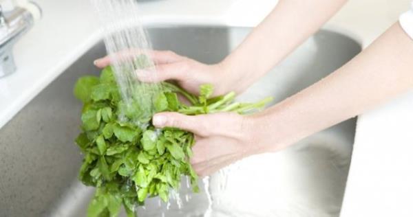 Gdalara bal salgnlar ve hastalklar sz konusu olunca, Koli Basili gibi bakteriler nedeniyle fatura en ok yeilliklere kesiliyor. Bu yzden, yeillikleri tketmeden nce mutlaka iyice ykamak gerekiyor.