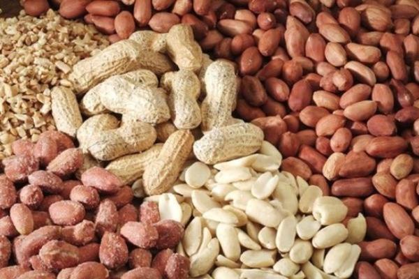 <b>Yer Fst:</b> Besin alerjilerine bal lmlerin banda yer fsta alerjisi olanlardan kaynaklanyor.