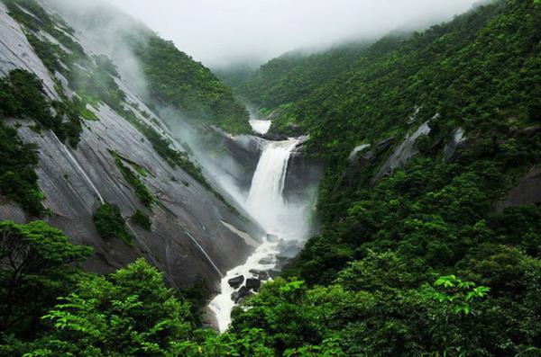 80. Yakushima Adas, Japonya