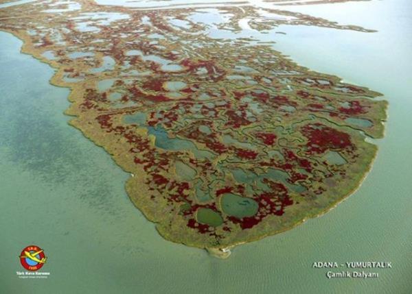 <p><b>ADANA-YUMURTALIK-amlk Dalyan </b></p>  ekilen 10 bin fotoraf arasndan 173 fotoraf seildi. "Gkyznden Trkiye Manzaralar" fotoraf sergisinin Trkiye'yi dolamasna karar verildi ve ilk sergi Antalya Havaliman'nda ald.