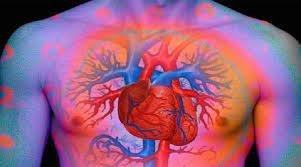 Dahas var, tansiyon hastalnn nlenmesi erken bunamalar da nlyor. nk bunamann sk rastlanan bir nedeni, beyindeki kk damarlarn yksek tansiyon nedeniyle tkanmas.  <p>Tkanan damarlar oaldka beyin fonksiyonlar yava yava geriliyor.</p>