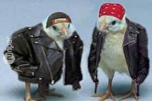 Ozzy Osbourne konserlerinde ivili ayakkabyla civcivleri ezmi.