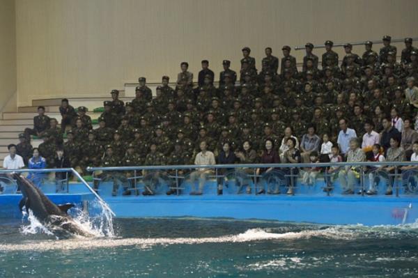 Gsteri yapan yunus balnn fotorafn ekmek yasak ama salonun neredeyse tamamn dolduran askerlerin fotoraflar ekilebilir.