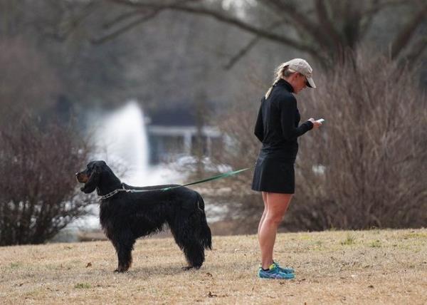 2014 - Parkta kpek gezdirmek