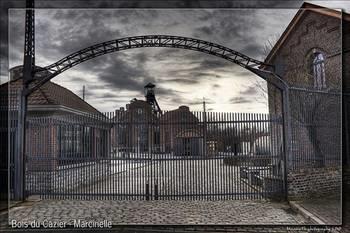 Marcinelle kentindeki Bois du Cazier maden ocanda ise 8 Austos 1956 sabah meydan gelen yangnda 262 madenci ld. Kazadan yalnzca 12 madenci kurtulabildi. lenlerin ounun gmen olduu belirtildi.(136 talyan, 8 Polonyal, 6 Yunan, 5 Alman, 5 Fransz, 3 Macar, 1 ngiliz, 1 Hollandal, 1 Rus ve 1 Ukraynal)