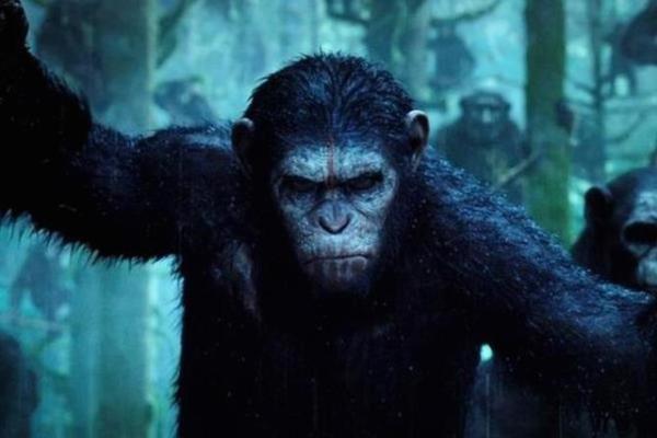 Dawn of the Planet of the Apes Kaynak: CNBC-e
