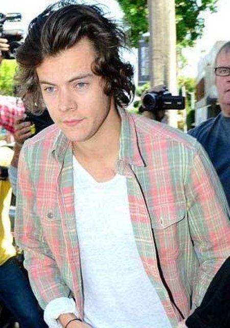 Bunlardan biri de One Direction grubunun henz 20 yandaki yelerinden Harry Styles.