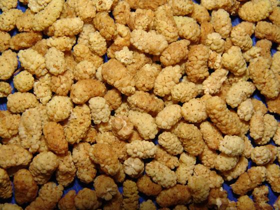 <b>DUT:</b> Kanszlk ekenlerin bolca yemesi gerekir.