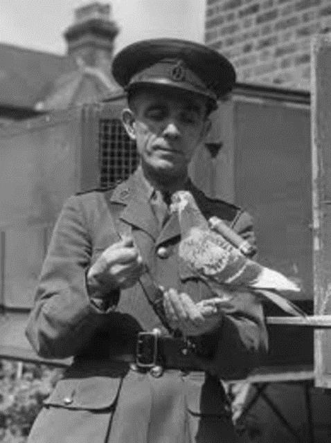 27 blok ve 5 harften oluan ifreyi, Hkmet letiim Bakanl uzmanlar da zemedi.