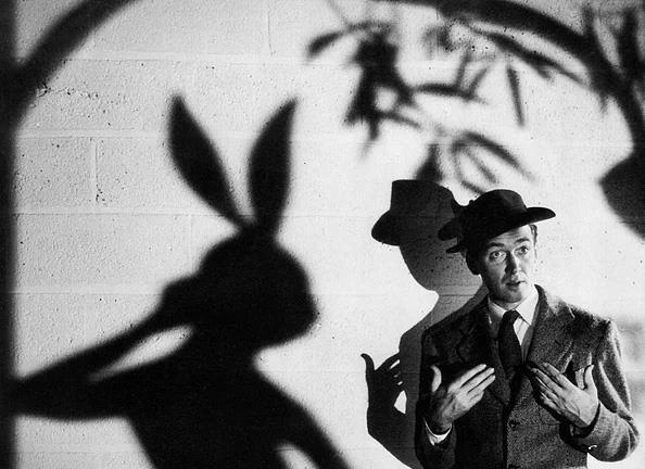 <p><b>13- Harvey (1950)</b></p>  Zaman gelecek sizin iin de deli diyecekler.