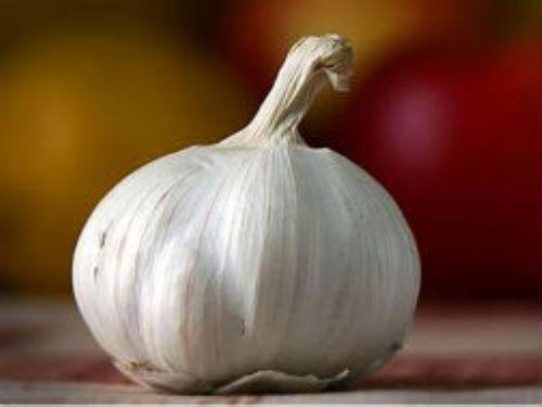 Sarmsan bu faydalarndan diyet yapan kiilerin de faydalanmas ve gnde en az iki di sarmsak tketmeleri gerektii doktorlar tarafndan sylenmektedir.