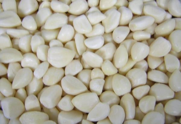 Kalpte bulunan adalelerin glenmesini salarken ayn zamanda kalbi besleyen kroner damarlar da geniletmektedir.