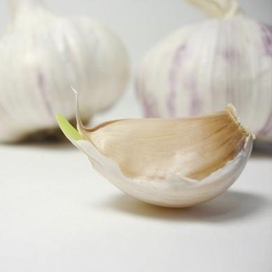 Kolestrol dzenleyicidir.